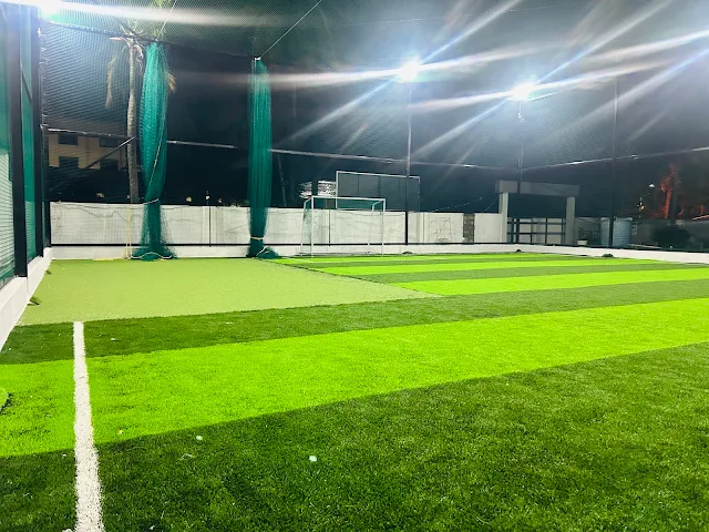 Turf photo 4
