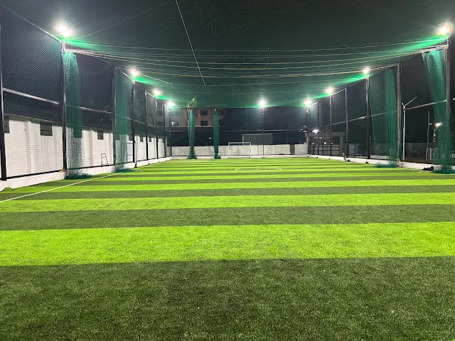 Turf photo 5