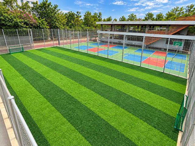 Turf main photo