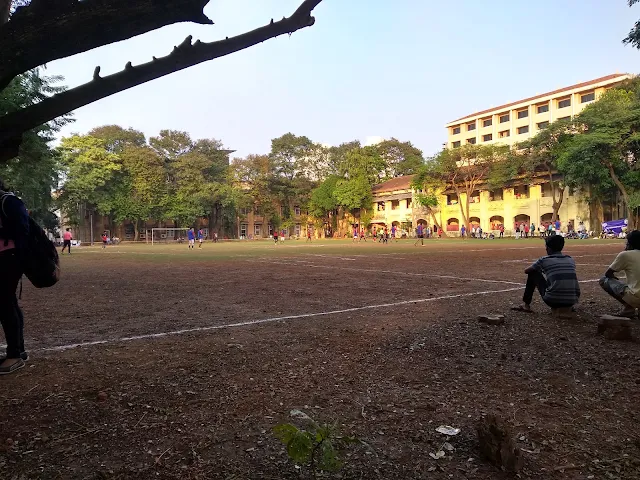 Turf photo 3