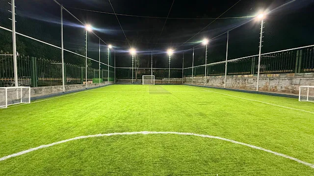 Turf photo 6