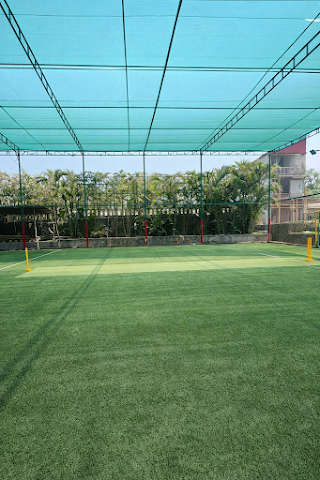 Turf photo 3