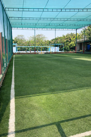 Turf photo 5