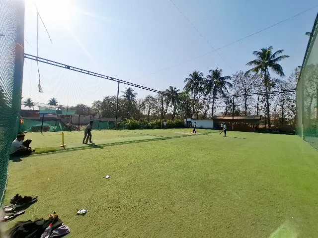 Turf photo 10