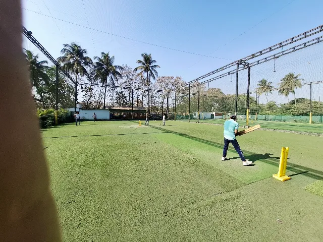 Turf photo 11