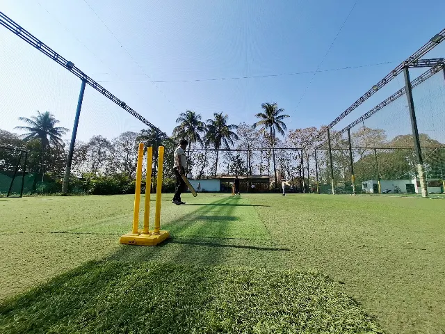 Turf photo 7