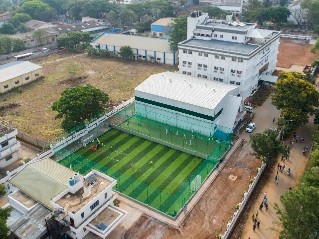 Turf photo 3