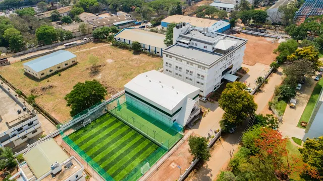 Turf main photo