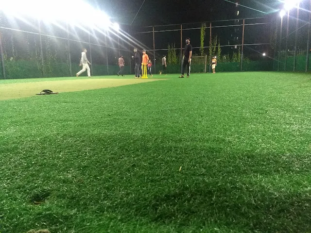 Turf main photo