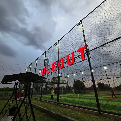 Turf photo 2