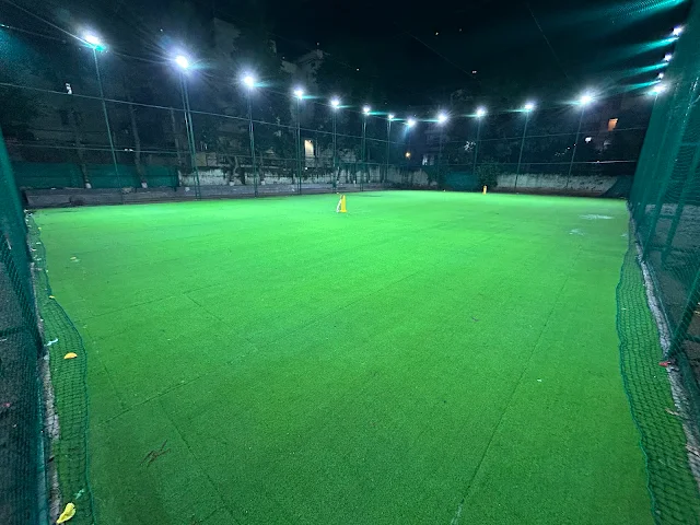 Turf photo 3