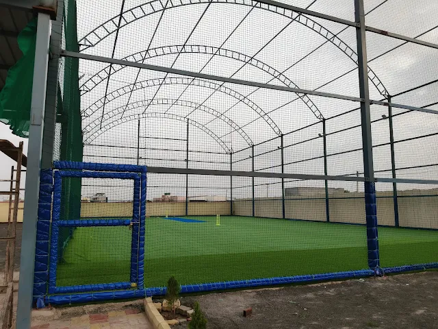 Turf photo 2