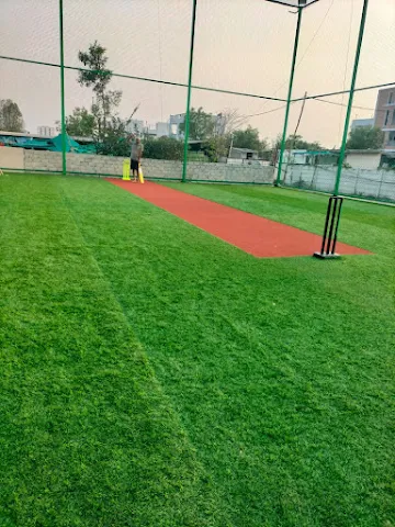 Turf photo 2