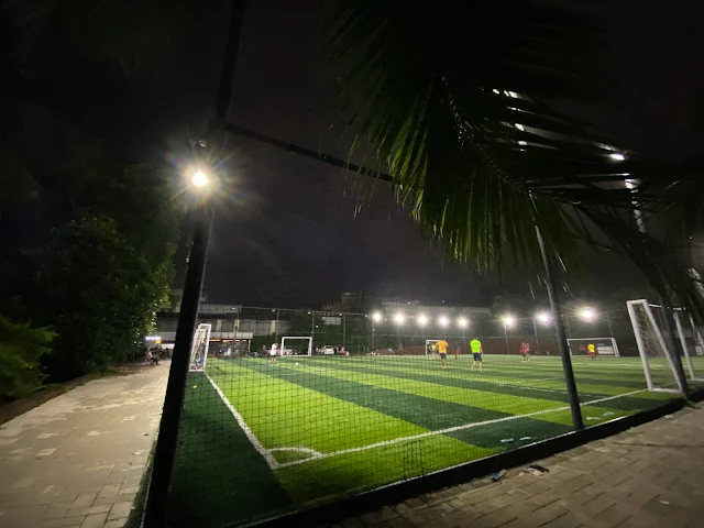Turf photo 4