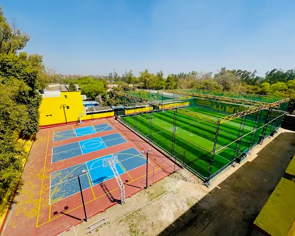 PlayAll MCL Hari Nagar
