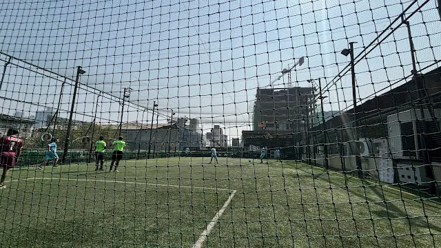 Turf photo 3