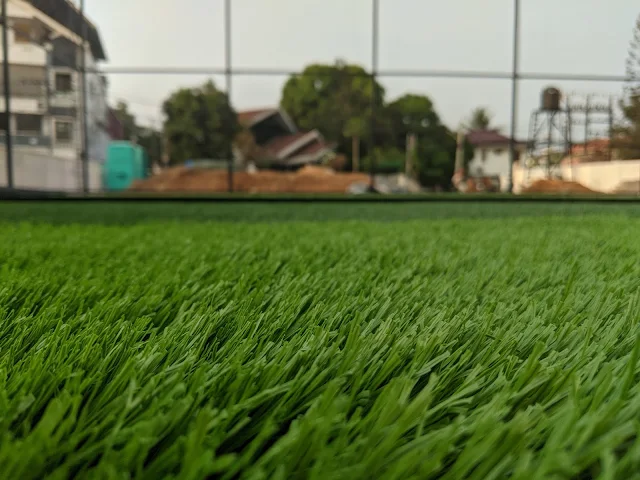 Turf photo 4