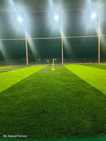 Turf photo 6