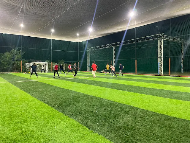 Turf photo 2