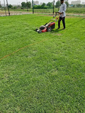 KingBox Cricket Ground