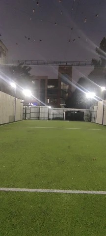 Turf photo 2