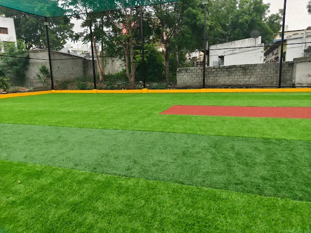 Turf photo 2