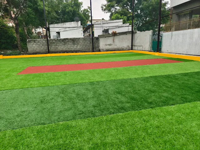 Turf photo 4