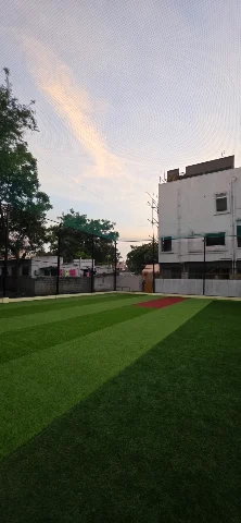 Turf photo 3