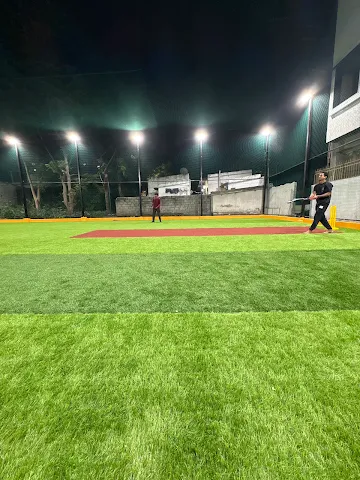 Turf photo 6