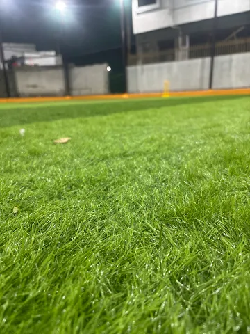 Turf photo 5