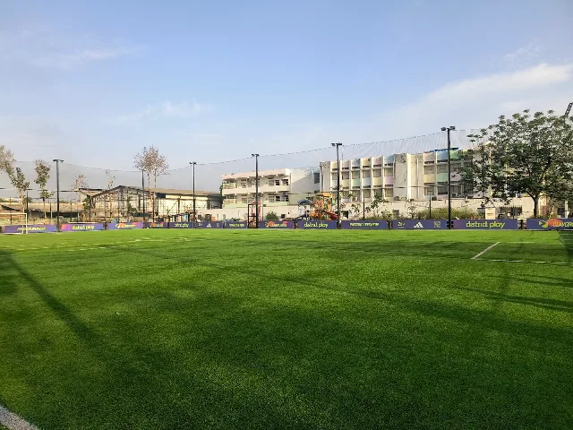 Turf photo 4