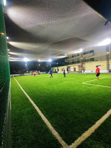 Turf photo 5