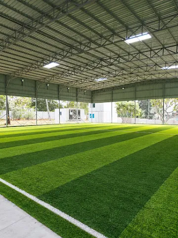 Turf photo 2