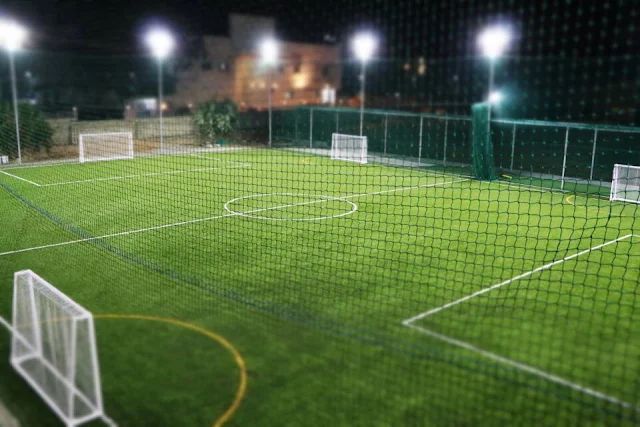 Turf photo 2