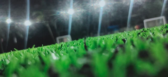 Turf photo 5