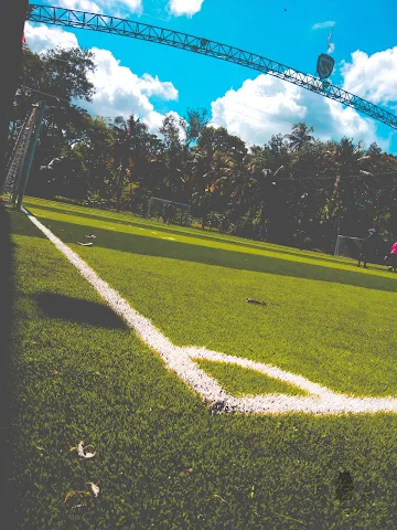 Turf photo 4
