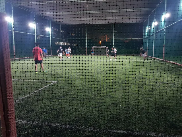 Turf photo 3