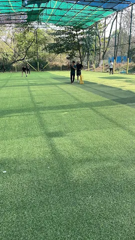 Turf photo 2