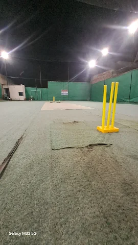 Turf photo 3